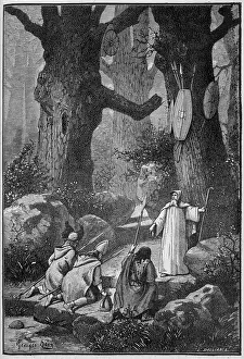 Druid: WARRIORS AND DRUID