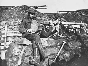 Messages: Wartime Messenger Dog