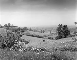 Edgehill: WARWICKSHIRE SCENERY