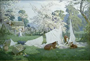 Kirkpatrick: Washday Blues ' cows amidst the laundry