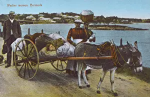 Washer: Washer Women - Bermuda