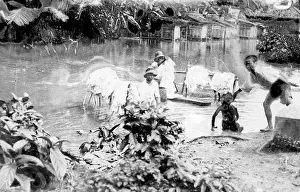 Curiously: WASHING IN EAST INDIES