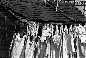 Pegs: Washing line Stoke