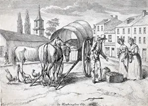 Kollner: Washington, D.C. Man with two horses and ?