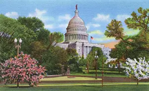 Fold Out: Washington DC, USA - US Capitol at blossom time