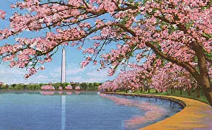 Fold Out: Washington DC, USA - Washington monument