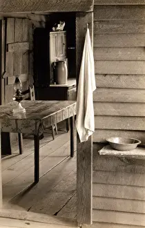 Sharecropper: A washstand in the dog run and view into ?