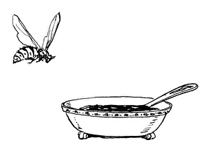 Jams: Wasp and bowl of jam