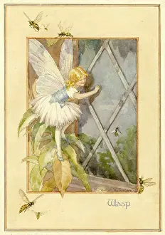 Wasps: Wasp Fairy