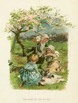 Picnics: WASP INTERRUPTS PICNIC