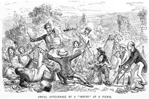 Picnics: WASP AT A PICNIC