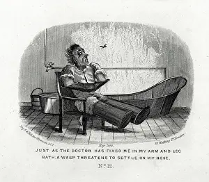 Threatens: A wasp threatens to settle on my nose - The Water Cure