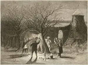 Wassailing: WASSAILING APPLE TREES