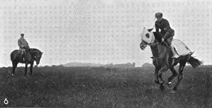 Sire: Watching Bayardo at exercise