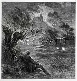 Wisp: WATCHING FEUX FOLLETS