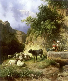 Shepherdess: Watching the Herd