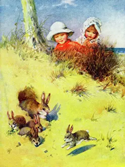 Petherick: Watching rabbits