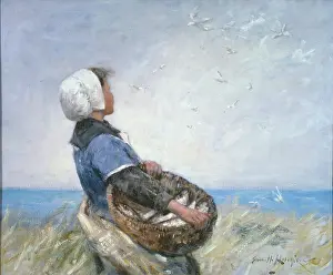 Hutchison: Watching the Seagulls