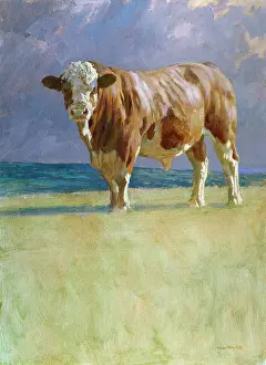 Jonas: Watching You, Watching Me ? Bull