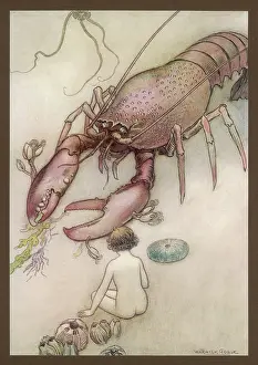 WATER BABIES/TOM/LOBSTER
