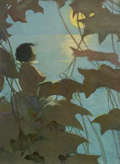 Looked: Water Babies - Tom - Moon