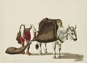 Patna: A water-carrier