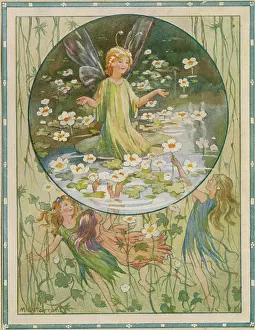 Printedcopy: Water Crowfoot