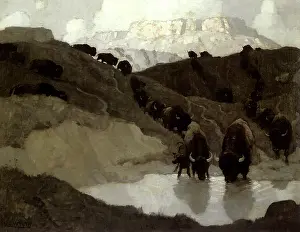 Convers: The Water-Hole