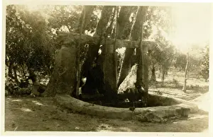 Irrigation: Water well for irrigation, Shaduf, Egypt