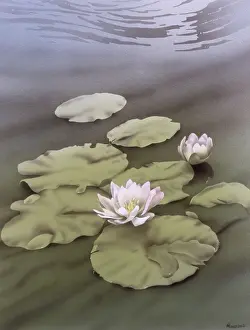 Droplets: Water Lilies