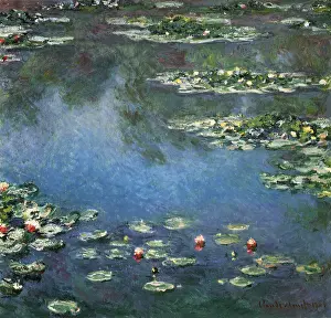 Drift: Water Lilies, by Monet