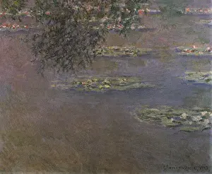 Drift: Water Lilies on Pond, by Monet