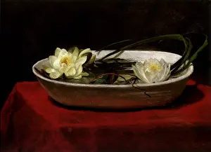 Farge: Water Lilies in a White Bowl