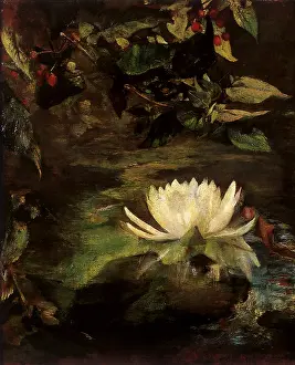 Farge: Water Lily and Linden Leaves