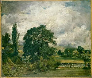Westwards: Water Meadows near Salisbury
