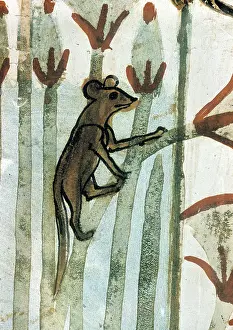 Nobles: Water Rat Climbing Papyrus