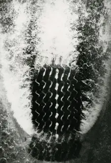 Tread: Water removal from tyre tread