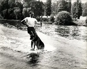 Approximate: Water-Skiing with the Dog