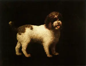 1769: Water Spaniel, by Stubbs