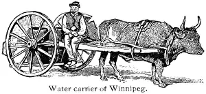 Winnipeg: Water - transportation - wagon - animal