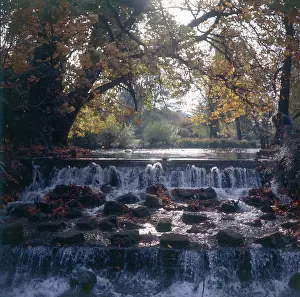Grove: Waterfall at Carshalton Beeches - The Grove Park, Sutton