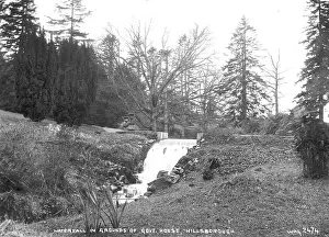 Govt: Waterfall in Grounds of Govt. House, Hillsborough