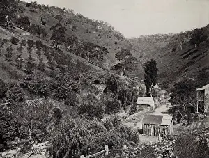 Gully: Waterfall Gully, Adelaide, Australia