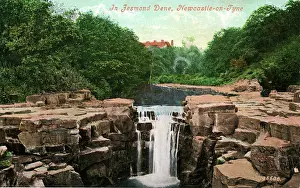 Dene: Waterfall, Jesmond Dene, County Durham