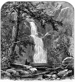 Designated: Waterfall in the Yosemite Valley, California