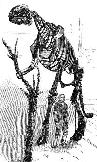 Waterhouse: Waterhouse Hawkins and Hadrosaurus, 1872