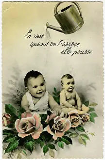 Watered: WATERING BABIES