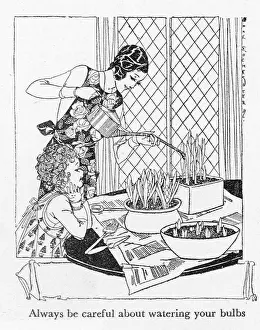 Pane: WATERING BULBS INDOORS