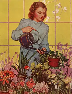 Coleman: Watering Flower Pots