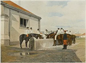 Watered: WATERING FRENCH HORSES